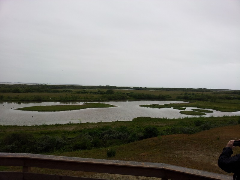 20130622_100409.jpg
