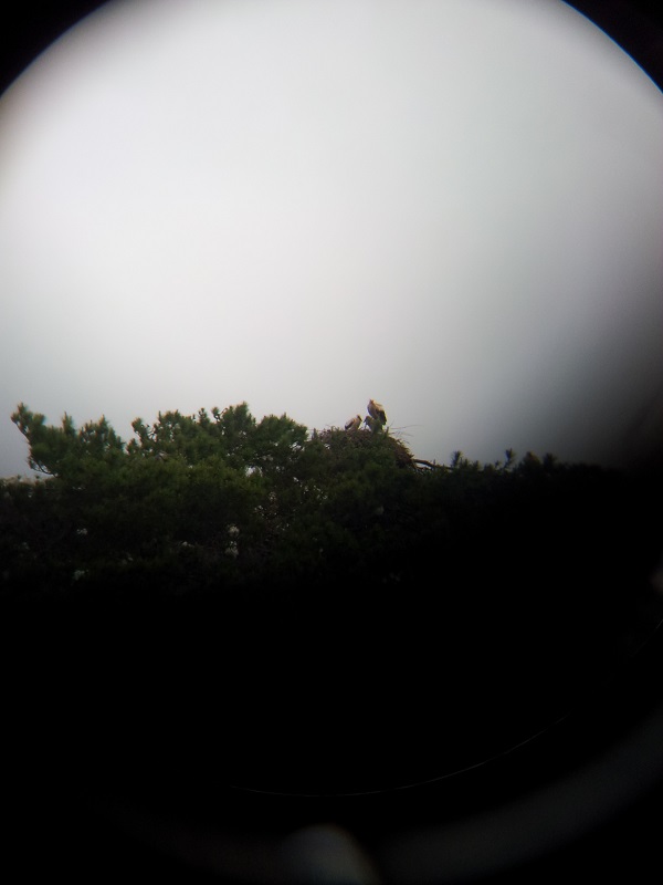 20130622_115523.jpg