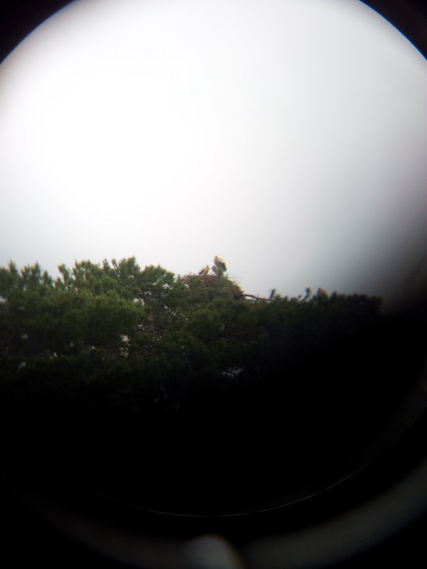 20130622_115526.jpg