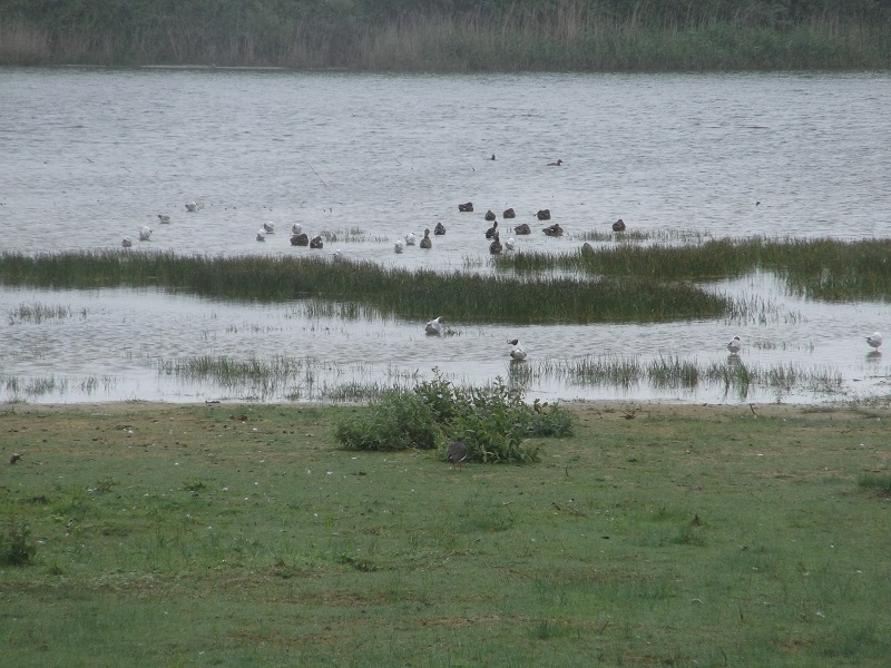 DSCF3131.JPG