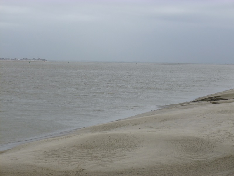 P1010153.JPG