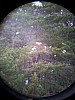 20130622_115710.jpg
