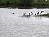 DSCF3124.JPG