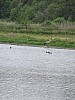DSCF3129.JPG
