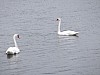 DSCF3135.JPG