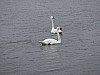 DSCF3136.JPG