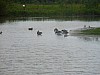 P1010067.JPG