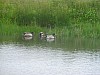 P1010069.JPG