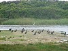 P1010096.JPG