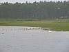 P1010100.JPG