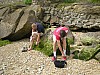 Ambleteuse_11_06_16_11.JPG