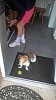 WP_20160611_08_02_51_Pro.jpg