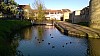 WP_20151122_09_36_59_Pro.jpg