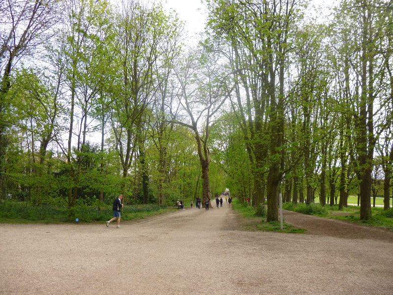 P1010534.JPG