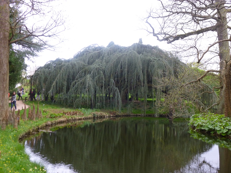 P1010565.JPG
