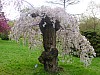 P1010560.JPG