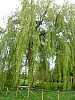 P1010561.JPG