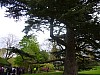 P1010574.JPG