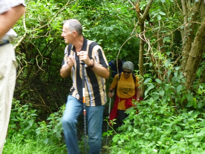 P1020254.JPG