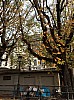 IMG_1217.JPG
