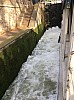 IMG_1257.JPG