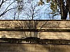 IMG_1258.JPG