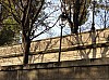 IMG_1259.JPG