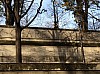 IMG_1262.JPG