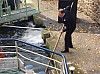 IMG_1264.JPG