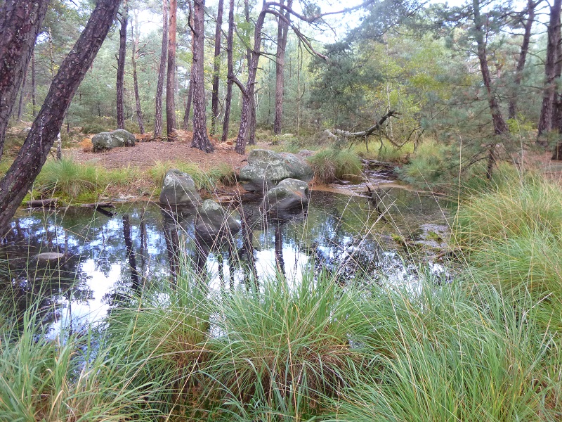 P1010321.JPG