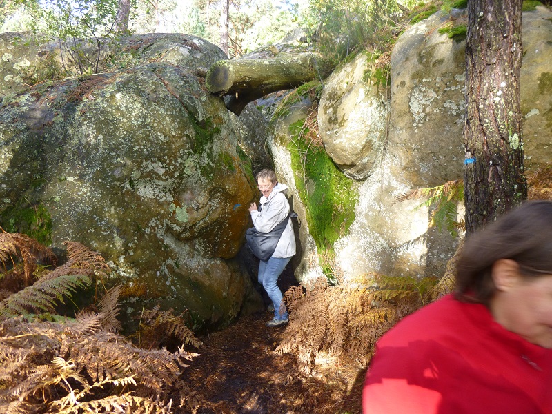 P1010332.JPG