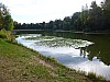 P1010264.JPG