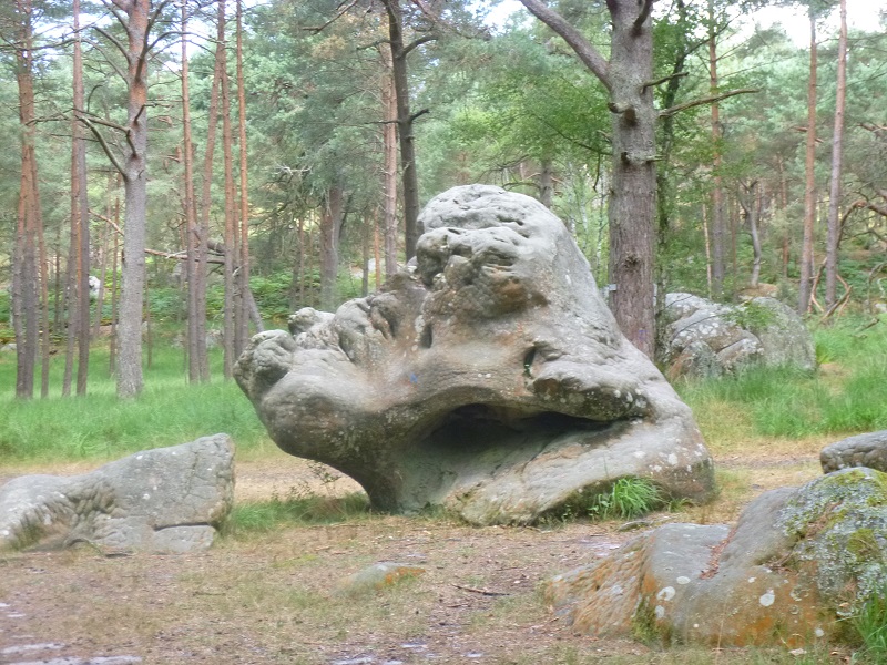 P1020732.JPG