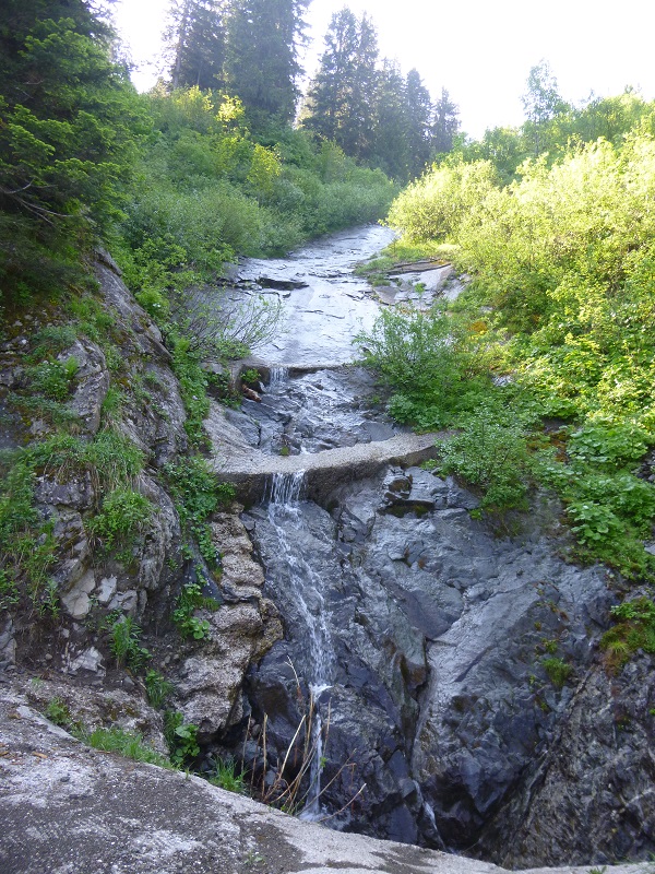P1020617.JPG