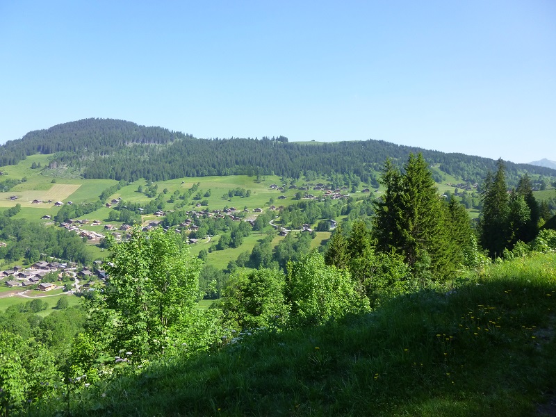 P1020620.JPG