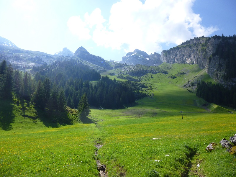 P1020621.JPG