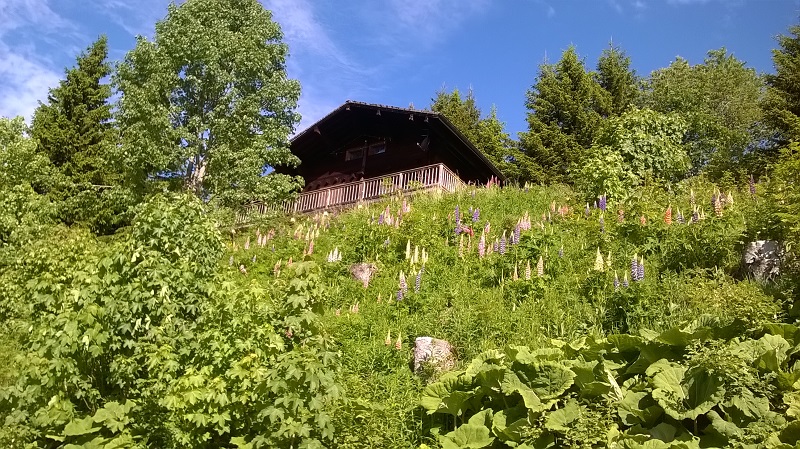WP_20150607_09_38_13_Pro.jpg