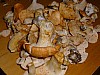P1020345.JPG