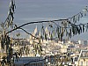 P1010368.JPG