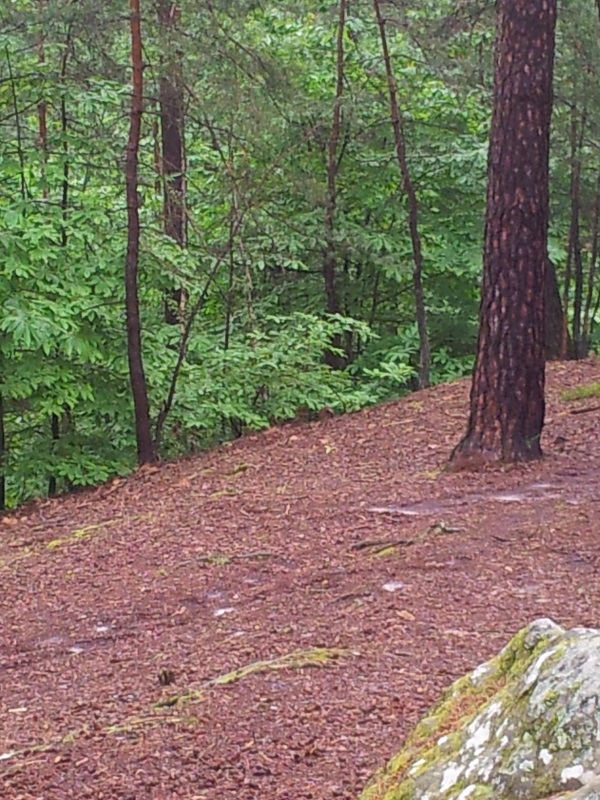 20130609_102936.jpg