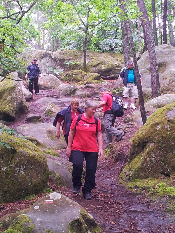20130609_104615.jpg