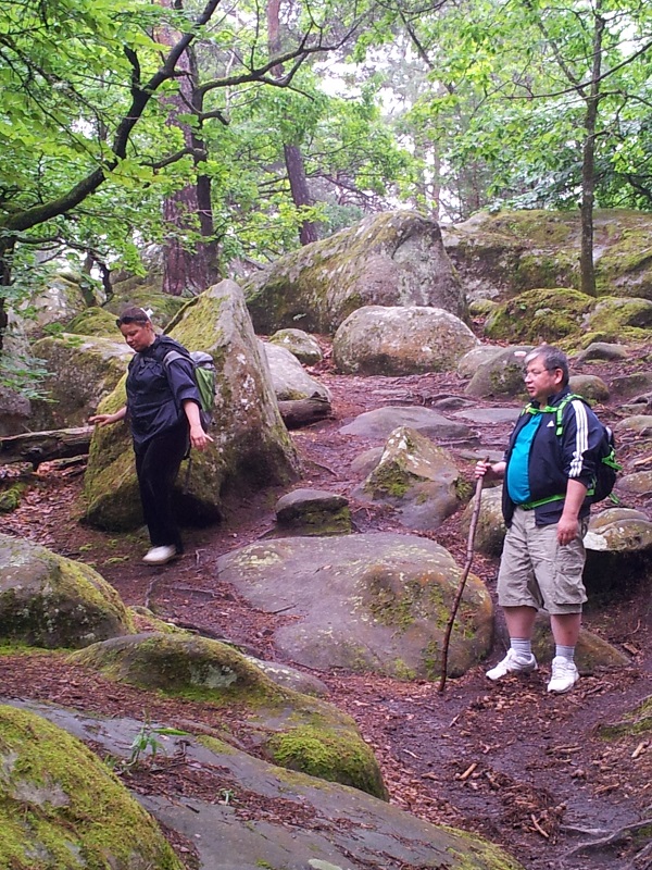 20130609_104645.jpg