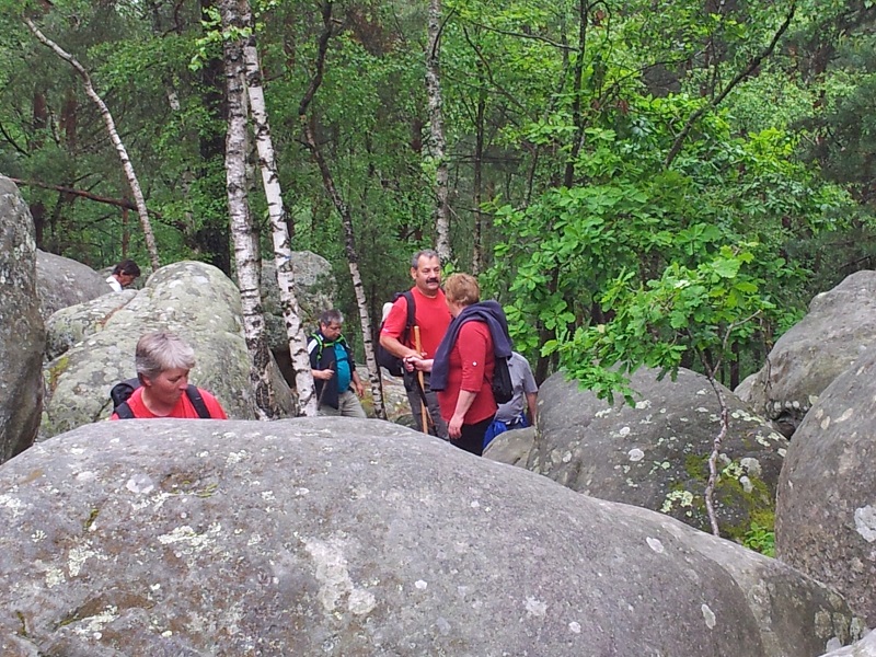 20130609_110407.jpg