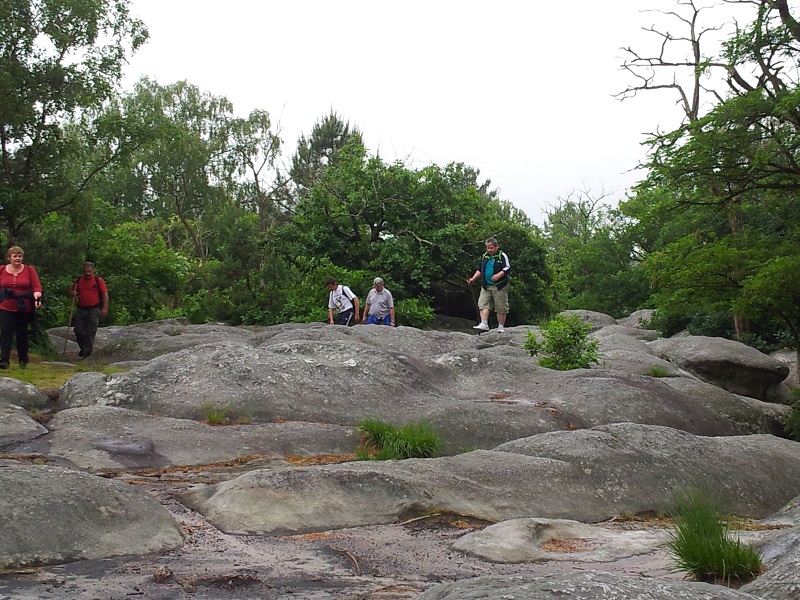 20130609_111531.jpg
