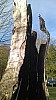 WP_20160207_11_13_29_Pro.jpg