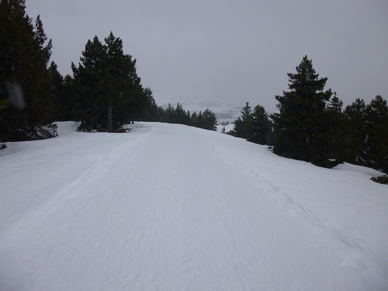 P1000680.JPG