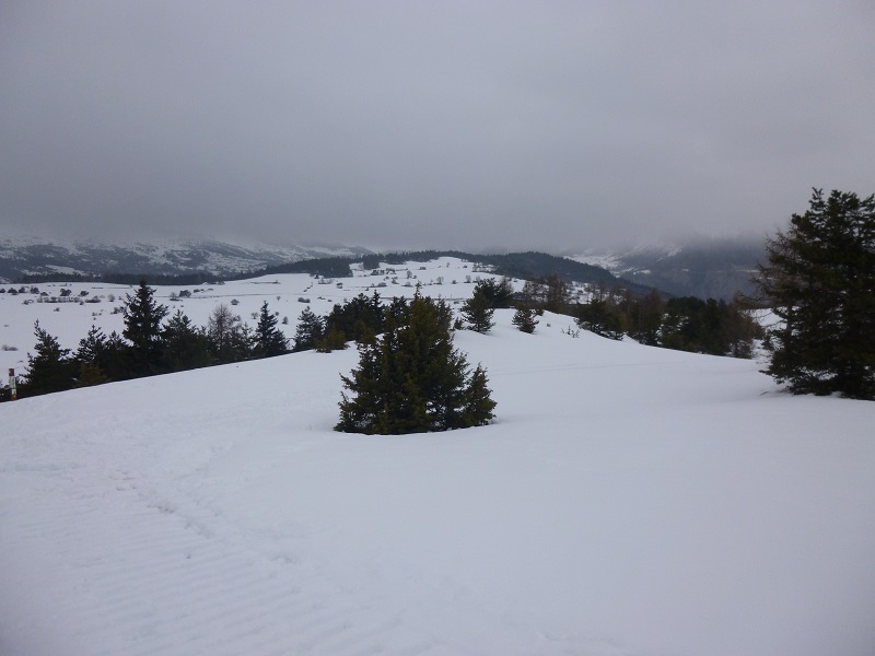 P1000694.JPG