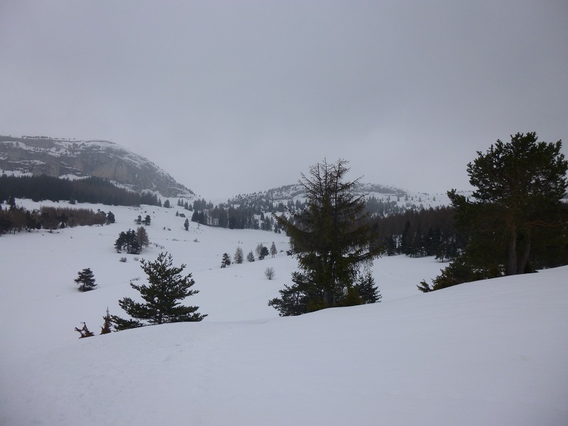 P1000696.JPG