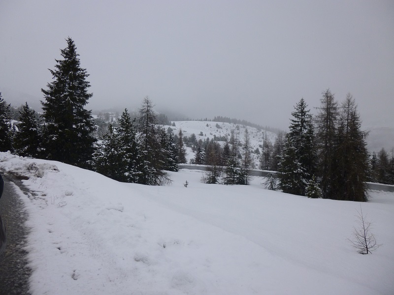 P1000740.JPG