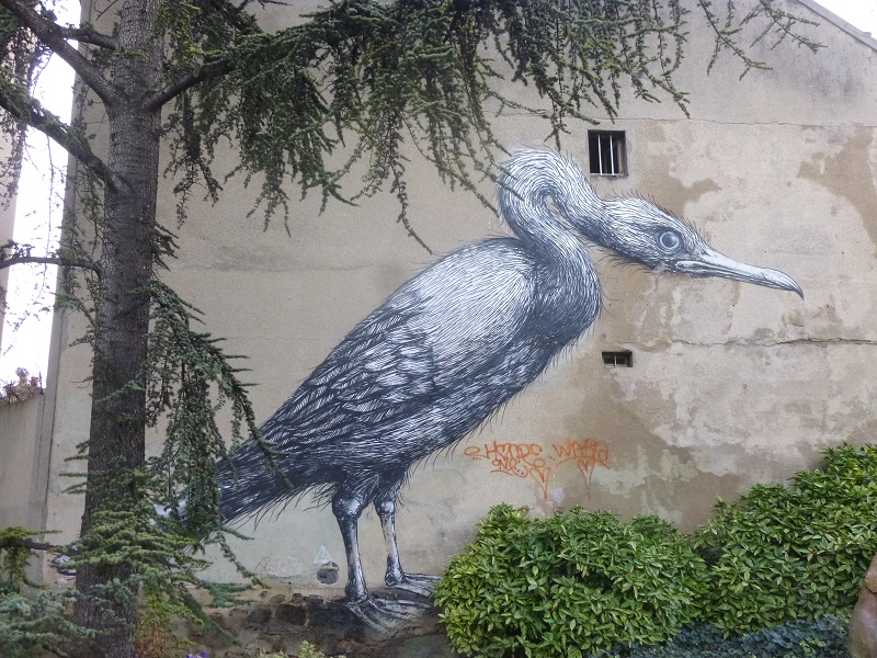 P1020529.JPG